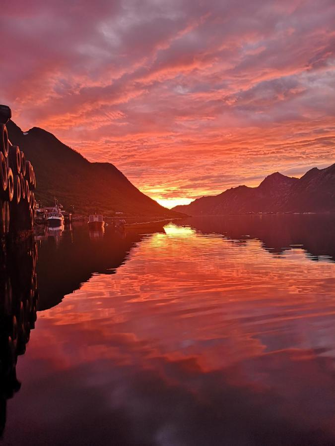 Segla Bed & Go Fjordgard Exterior foto