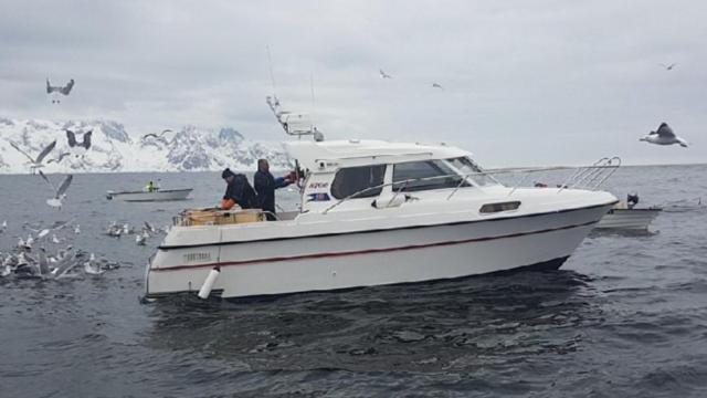 Segla Bed & Go Fjordgard Exterior foto